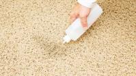 Carpet Cleaning Brighton image 4